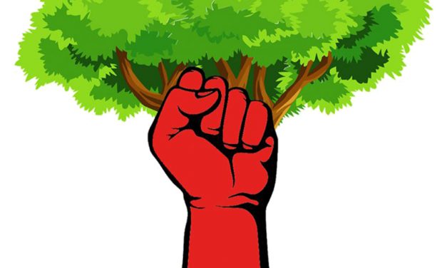 Toutes et tous à la MARCHE CLIMAT du dimanche 9 mai !
