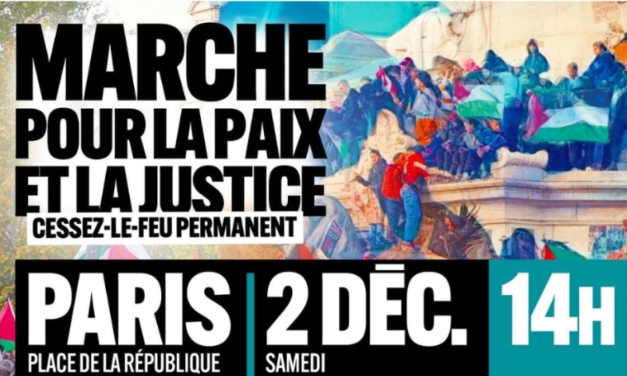 2 décembre, manifestation STOP AU MASSACRE A GAZA ! CESSEZ LE FEU IMMEDIAT ET DEFINITIF !